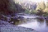 Thom Niemela (tawmn) > Lee Riddle's 2-Days of N. California Reride photo